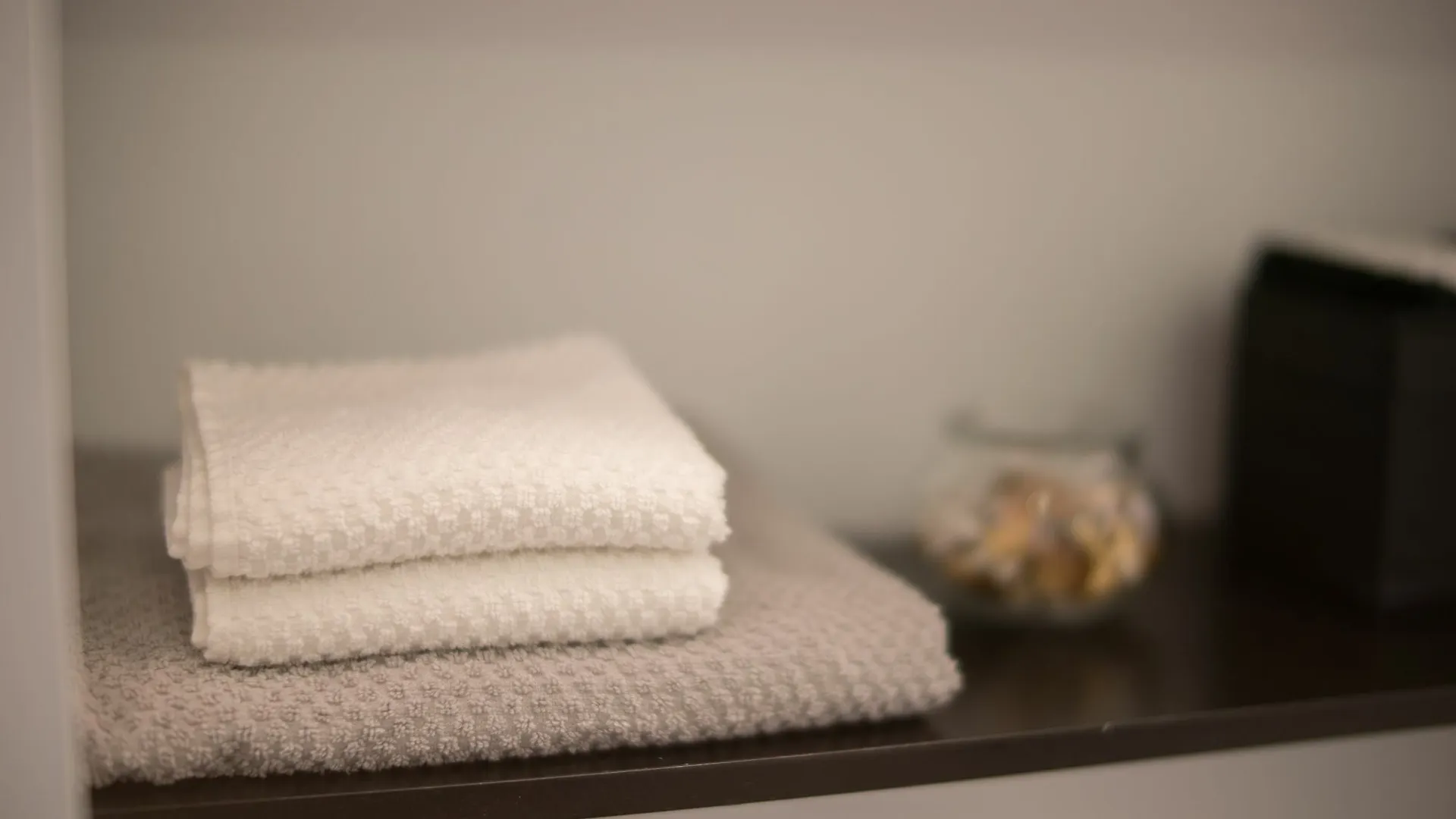 Apartment Applewood Suites - Toronto Traveller Loft